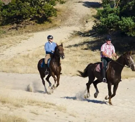 Farm stay De Distelhoeve *