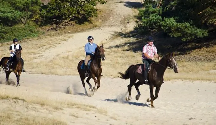 Agroturismo De Distelhoeve *